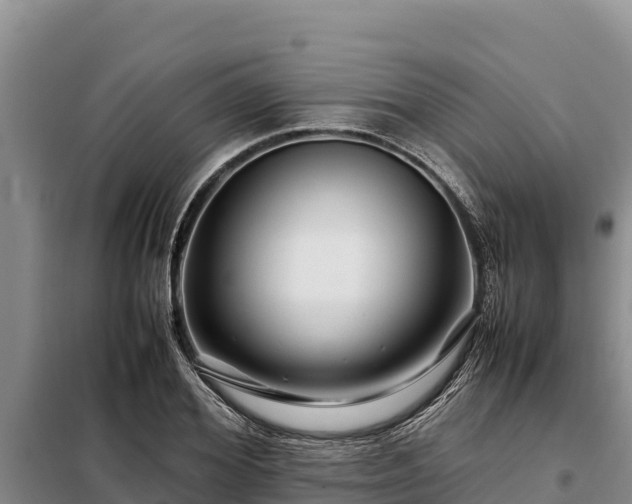 X0000099310980200805091014