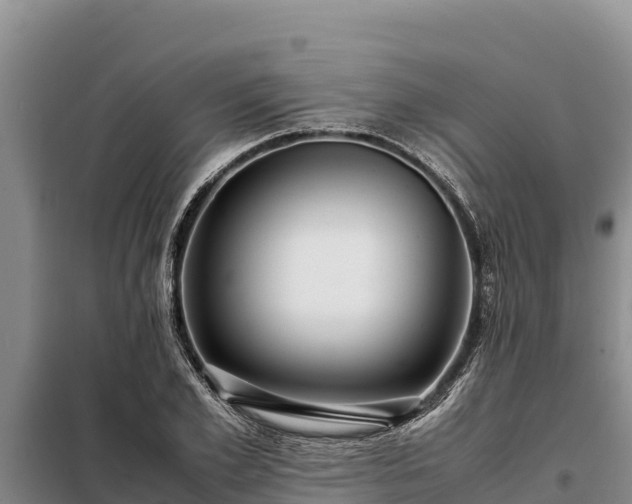 X0000099310981200805091014