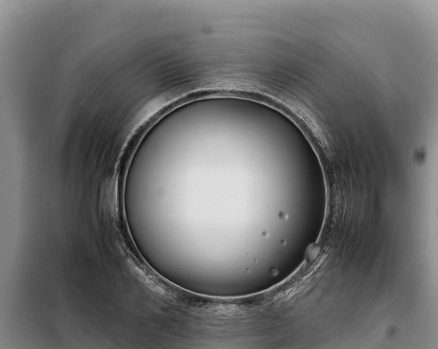 X0000099310982200805091014