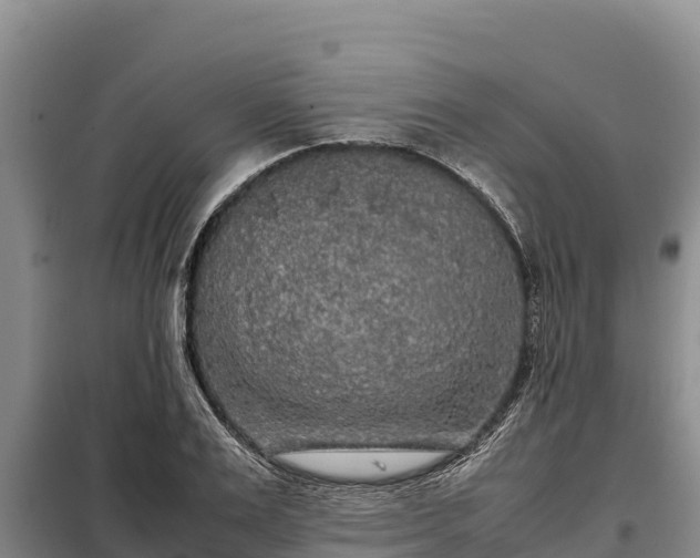 X0000099310983200805091014
