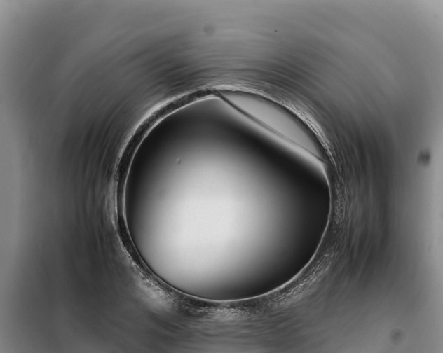 X0000099310984200805091014