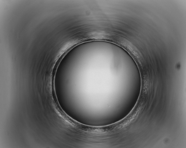X0000099310986200805091014