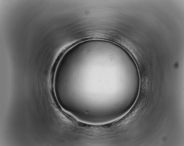 X0000099310987200805091014