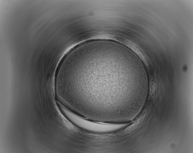 X0000099310988200805091014