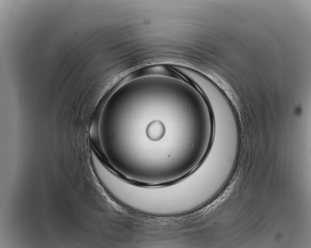 X0000099310993200805091013
