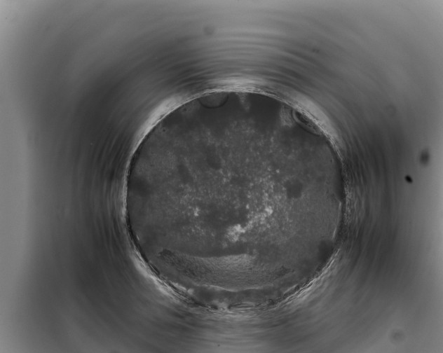 X0000099310994200805091013