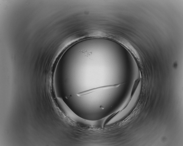 X0000099311000200805091013