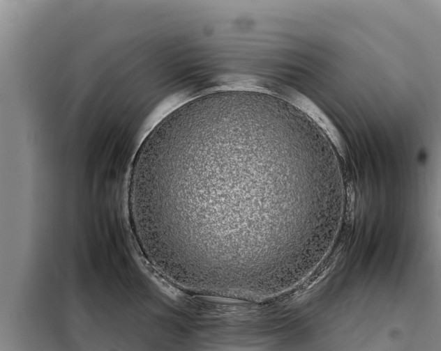 X0000099311002200805091013