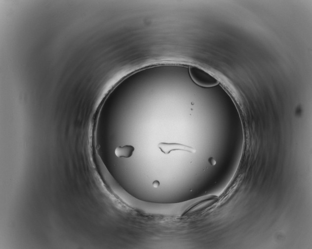 X0000099311006200805091013
