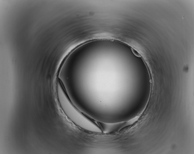 X0000099311008200805091013