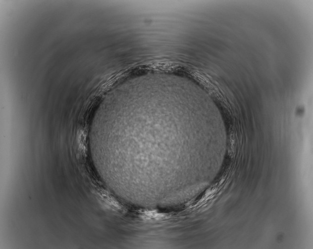 X0000099311010200805091013