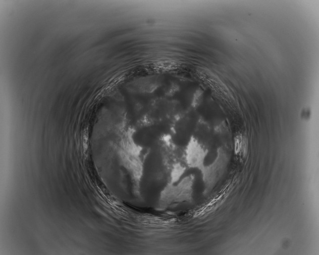 X0000099311011200805091013