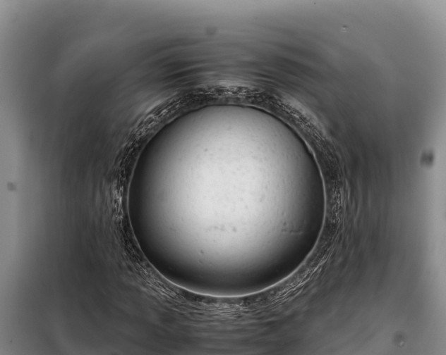 X0000099311013200805091013