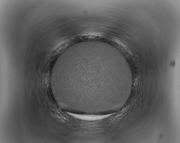 X0000099311014200805091013