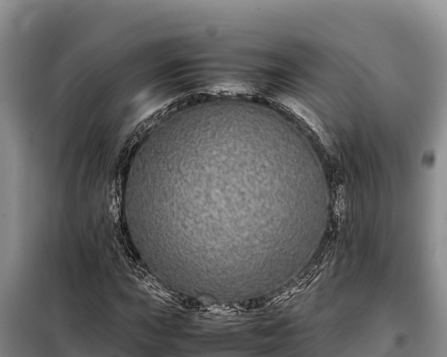 X0000099311015200805091013