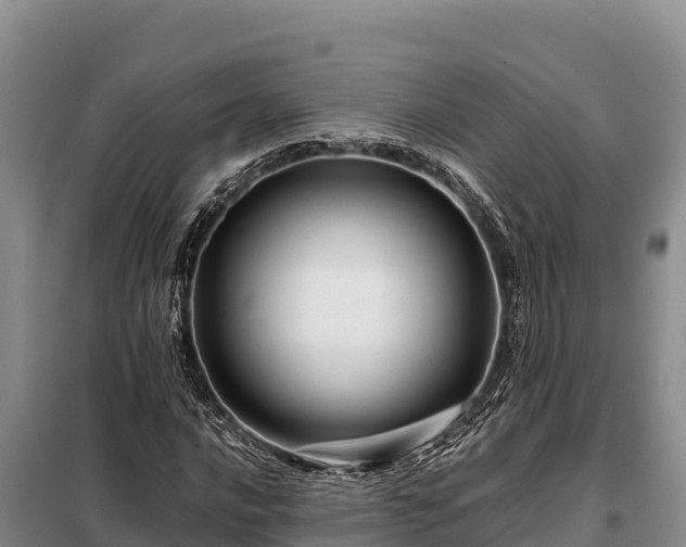X0000099311016200805091013