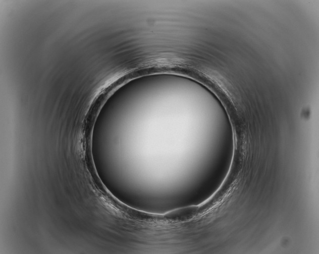 X0000099311018200805091013
