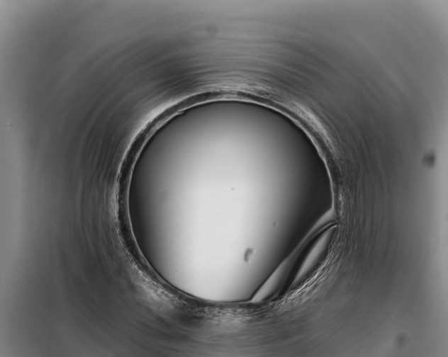 X0000099311020200805091013