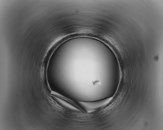 X0000099311021200805091013