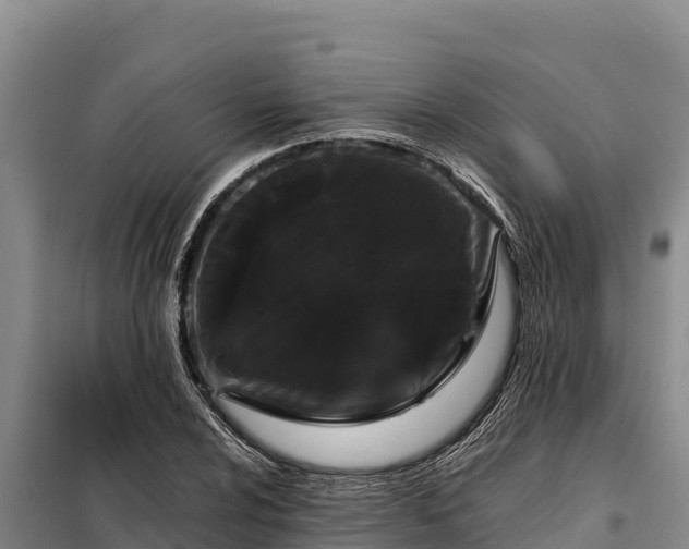 X0000099311024200805091013