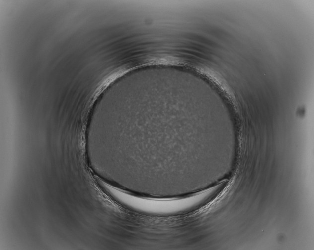 X0000099311025200805091013