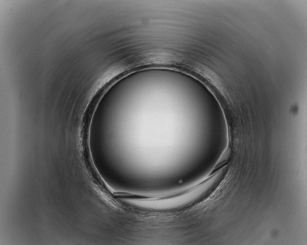X0000099311026200805091013