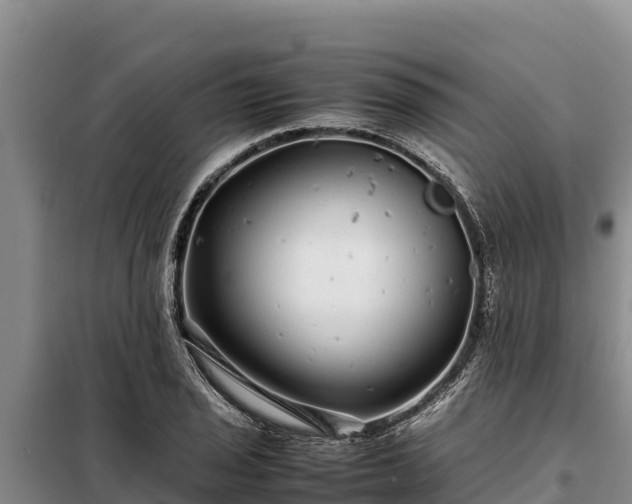 X0000099311029200805091013