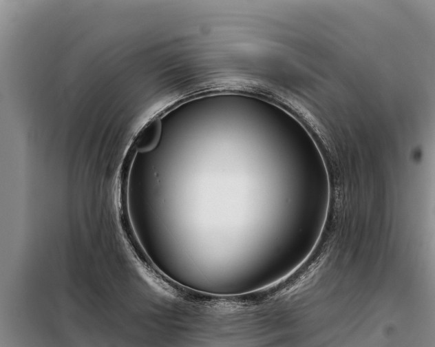 X0000099311034200805091013
