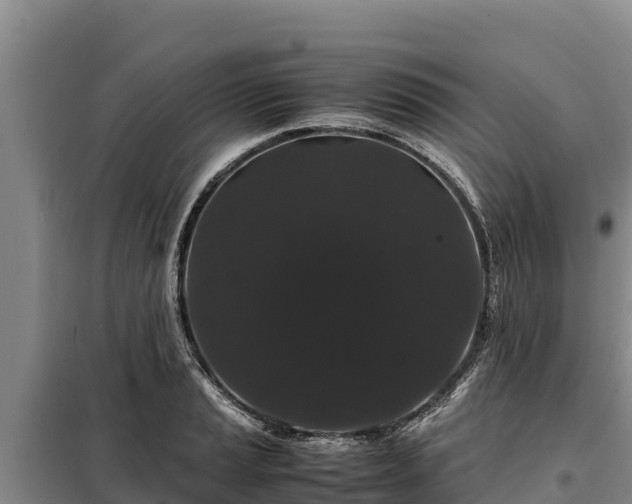 X0000099311037200805091013