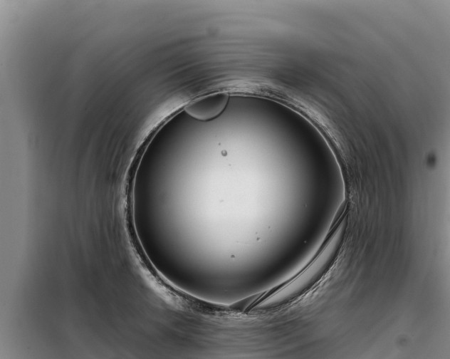 X0000099311042200805091013