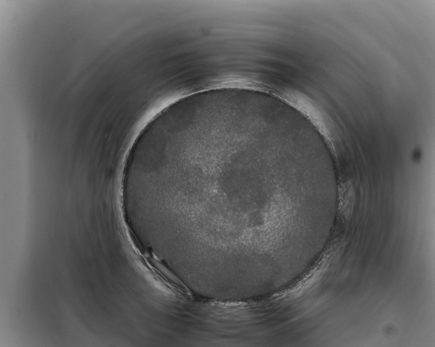 X0000099311043200805091013