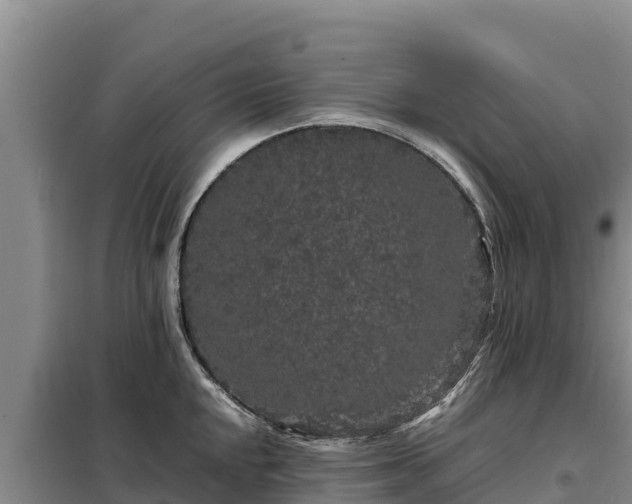 X0000099311048200805091013