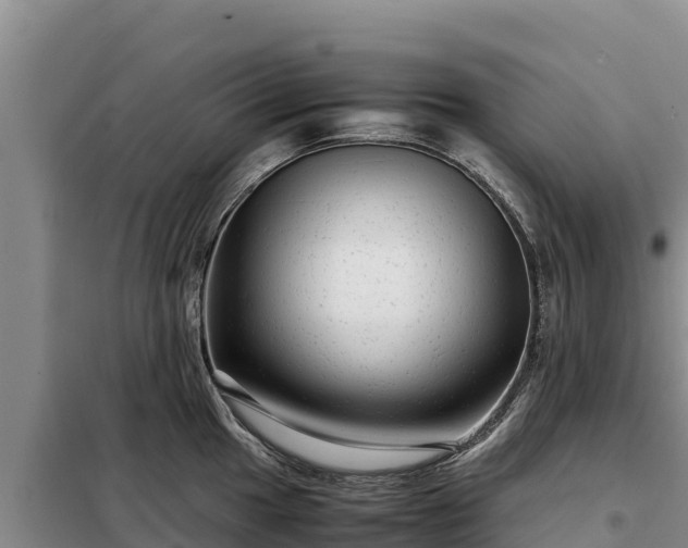 X0000099311049200805091013