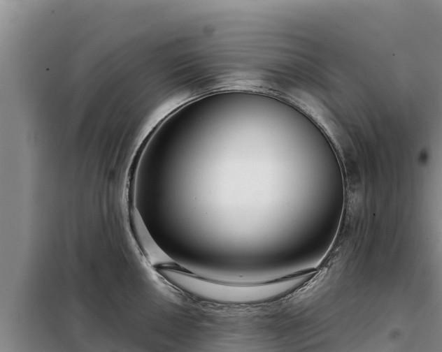 X0000099311050200805091013