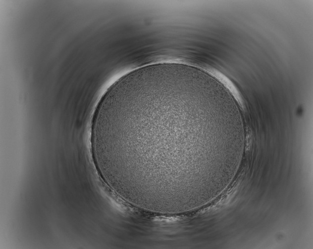 X0000099311051200805091013