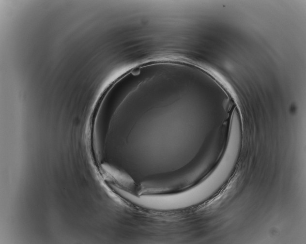 X0000099311053200805091013