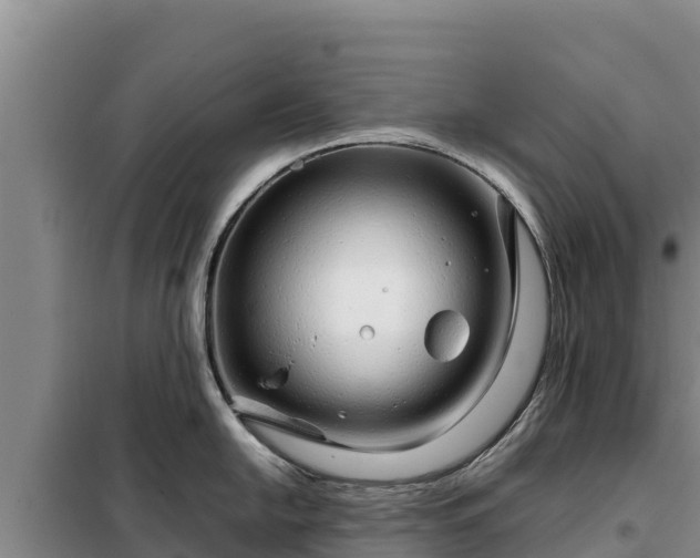 X0000099311054200805091013