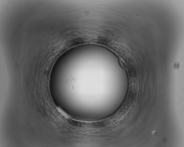 X0000099311057200805091013