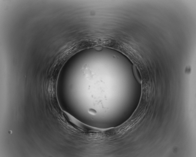 X0000099311058200805091013