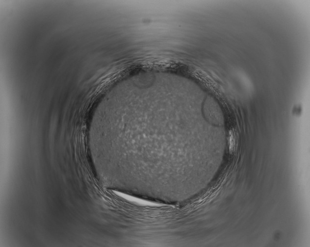 X0000099311059200805091013