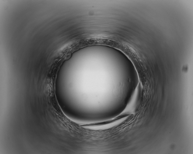 X0000099311062200805091013