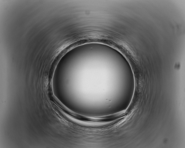 X0000099311065200805091012