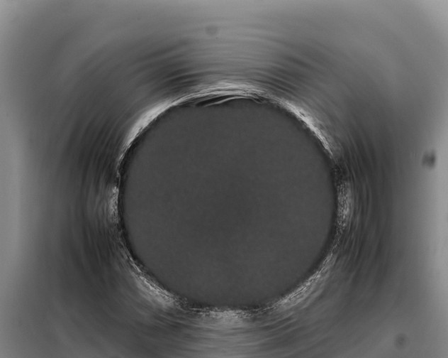 X0000099311066200805091012