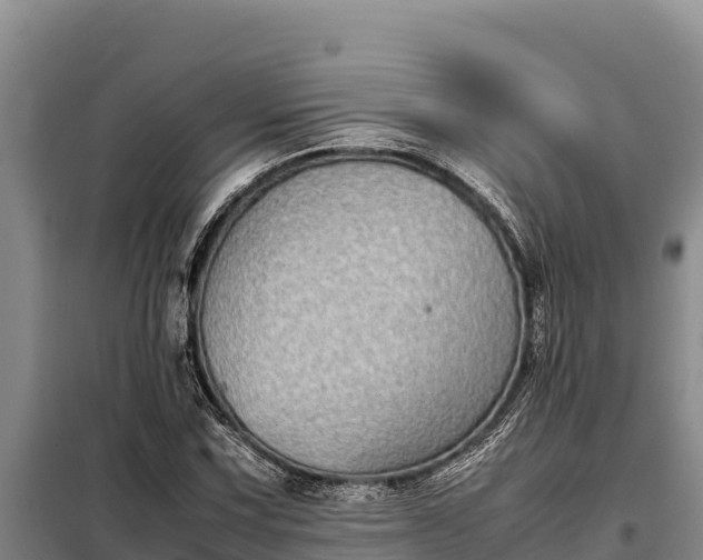 X0000099311067200805091012