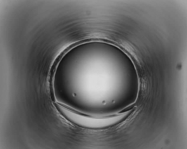 X0000099311068200805091012