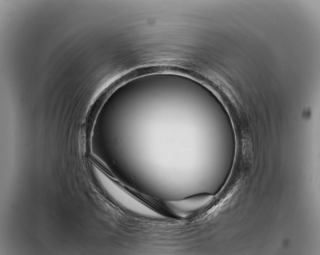 X0000099311069200805091012