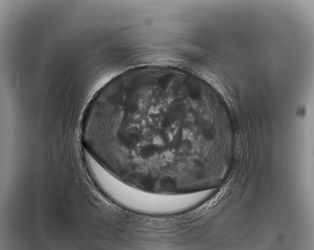 X0000099311071200805091012