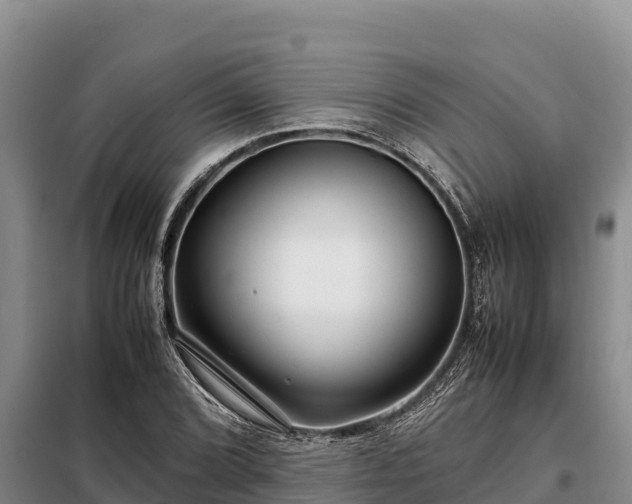 X0000099311072200805091012