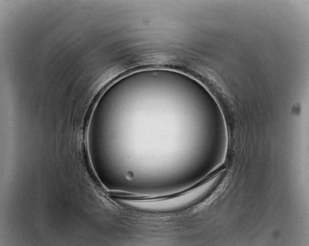 X0000099311073200805091012