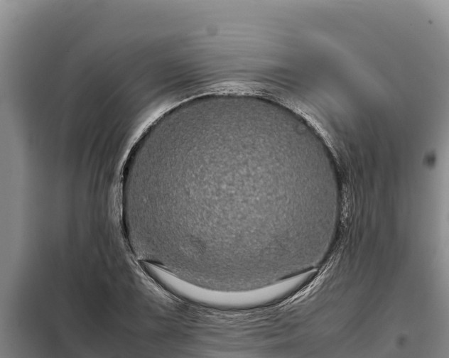 X0000099311075200805091012